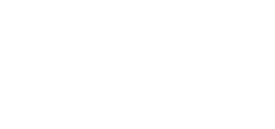 Metis Consult